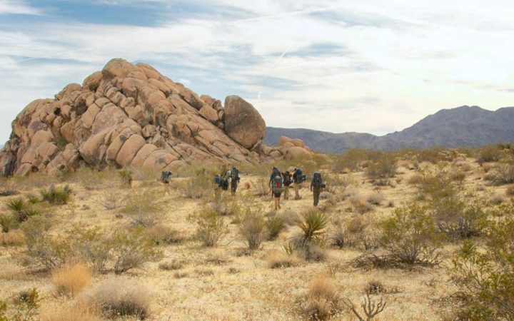 a group of people wearing backpacks hike through Joshua Tree National Park
